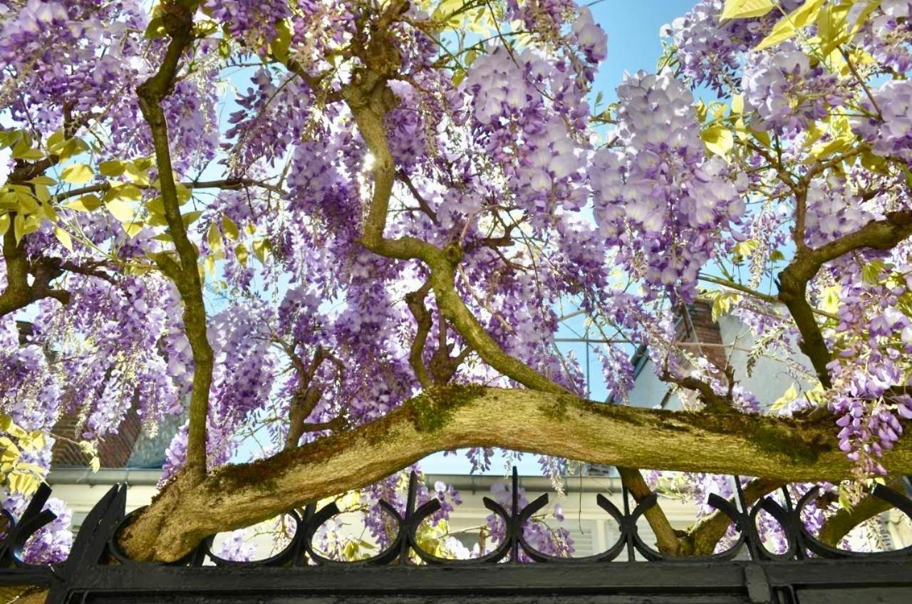 Couette-café Wisteria
